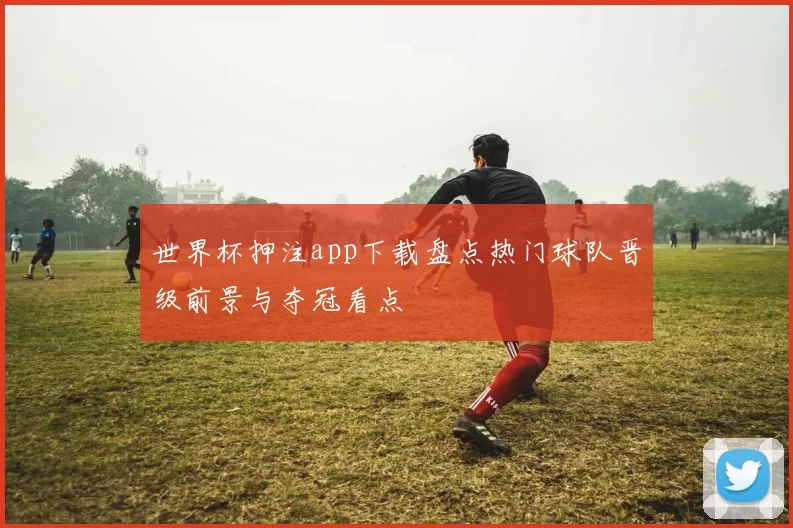 世界杯押注app下载盘点热门球队晋级前景与夺冠看点