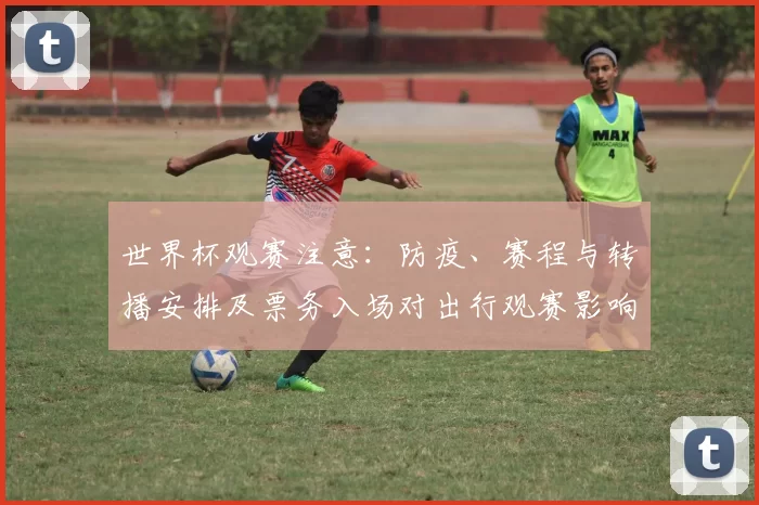 世界杯观赛注意：防疫、赛程与转播安排及票务入场对出行观赛影响